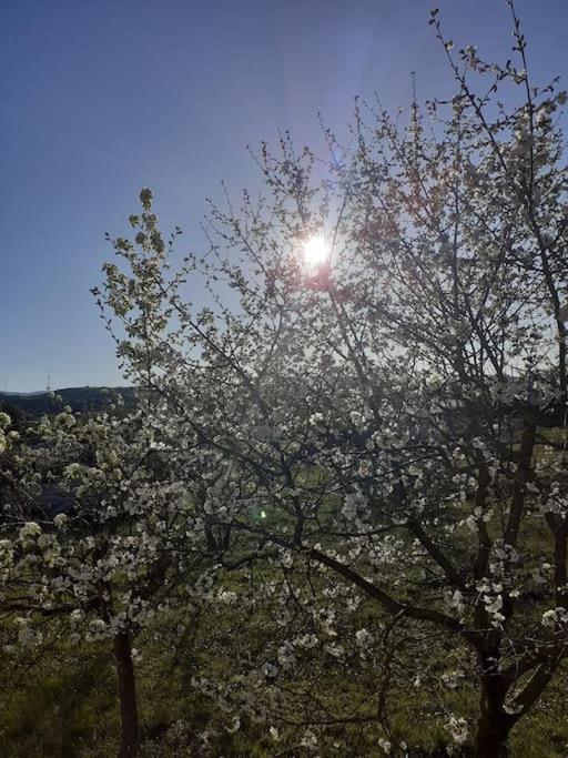 Apartment Cozy Retreat Ioannina
